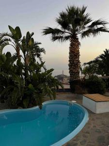 een blauw zwembad met een palmboom op de achtergrond bij Mountain house with sea view in Ítrabo