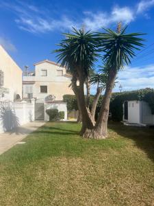 een palmboom in de tuin van een huis bij Casa Pom at the Beach in Torre de Benagalbón