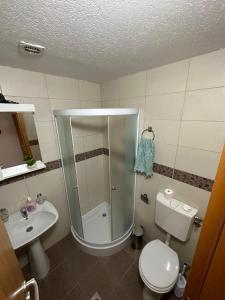 uma casa de banho com um chuveiro, um WC e um lavatório. em Apartmani Ušće em Trstenik