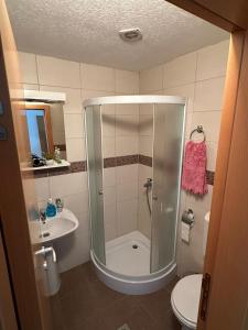 uma casa de banho com um chuveiro, um WC e um lavatório. em Apartmani Ušće em Trstenik