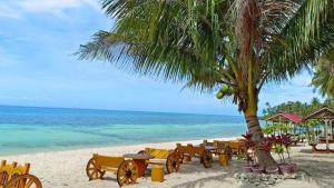 a beach with chairs and a palm tree and the ocean at franky jay house in Esperanza