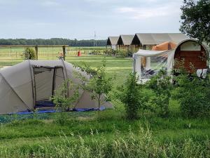 a group of tents sitting in a field at tHoefijzer Luxere Blokhutten - 5 personen in Zwiggelte