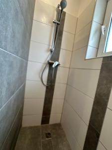 a shower with a glass door in a bathroom at Ferienhaus Lillehus in Fehmarn +20 photos