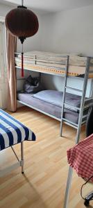 Pokój z 2 łóżkami piętrowymi i lampką w obiekcie Zimmervermietung Bern w mieście Berno