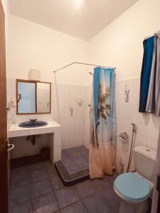 y baño con ducha, lavabo y aseo. en Muthumuni Ayurveda River Resort en Aluthgama