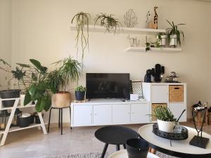 a living room with a tv and lots of plants at Chez Dju in Nouaceur