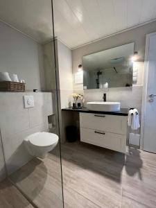 a bathroom with a toilet and a sink and a mirror at Cottage & Garden & Sauna am See in Wettringen
