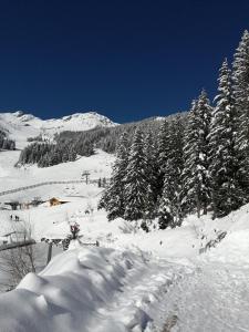 uma encosta coberta de neve com árvores e uma montanha em Superbe studio aux 7 Laux em La Ferrière
