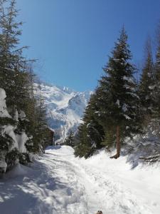 a snow covered path with trees on a mountain at Superbe studio aux 7 Laux in La Ferrière