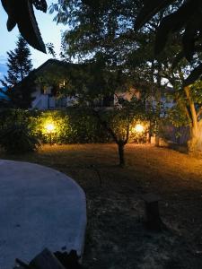 Lettomanoppello的住宿－CASA MAJA casa per vacanze abruzzo，夜晚院子里灯火通明的房子