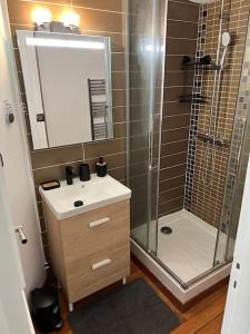 uma casa de banho com um chuveiro, um lavatório e um espelho. em Échappée mer LH em Le Havre