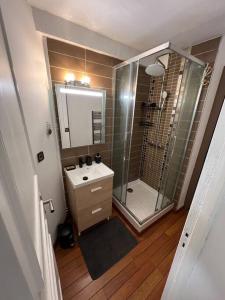 uma casa de banho com um chuveiro, um lavatório e um espelho. em Échappée mer LH em Le Havre