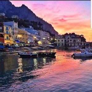 - un groupe de bateaux dans un port au coucher du soleil dans l'établissement Capri Aquarium Friends, à Capri