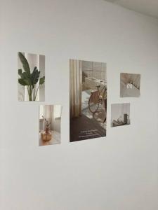 a collage of photos of a room with a plant at Time House - Dongdaemun district in Seoul