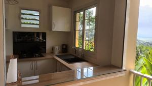 Kuchyň nebo kuchyňský kout v ubytování Martinique La petite maison dans la Colline