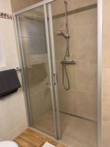 une douche avec une porte vitrée dans une salle de bain dans l'établissement Sonniges Garten-Apartment in ruhiger Parklage, à Bad Segeberg