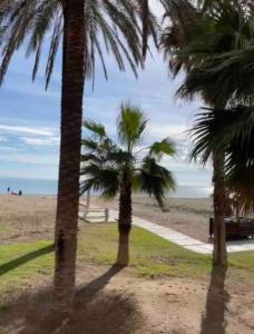 un grupo de palmeras en la playa en Estudio Playa la Misericordia, en Málaga