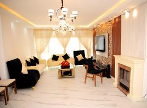 uma sala de estar com um sofá e uma lareira em Homestead Realestate em Addis Ababa