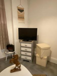 a living room with a tv and a dog statue at Studio cosy proche centre (CDG) in Charleville-Mézières
