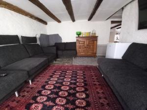 a living room with two couches and a rug at Room in Apartment - Casa Coerente Cavergno Room no 4 in Cevio