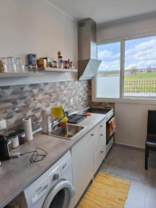 A kitchen or kitchenette at Polys Apartment and Paraskevi studio with view