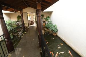 Fotografie z fotogalerie ubytování Serene Manor v destinaci Battaramulla