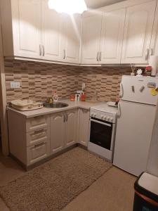 Kuchyň nebo kuchyňský kout v ubytování Apartmani “Dunja”