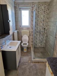 een badkamer met een toilet, een douche en een wastafel bij Barbara in Gospić