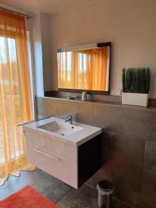ein Badezimmer mit einem weißen Waschbecken und einem Spiegel in der Unterkunft Pension Unterreichenbach in Schwabach