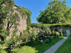 Ein Garten an der Unterkunft Gästehaus auf der Salzburg