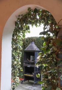 A garden outside Casa los Arcos
