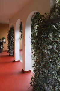A garden outside Casa los Arcos