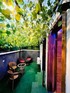 una habitación con sillas y plantas en el techo en Newly built Smart 4 bed rooms duplex in Ilasan ikate lekki en Lekki