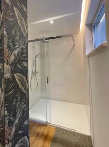 a shower with a glass door in a bathroom at SONNENWEG Designwohnung mit Gartenblick in Plauen +8 photos