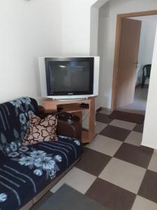 TV a/nebo společenská místnost v ubytování Apartmani “Dunja”