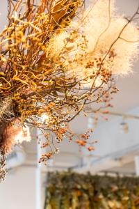 a chandelier with dried plants hanging from a ceiling at Hostel OGK in Osaka