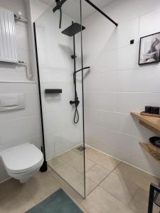 uma cabina de duche com WC na casa de banho em Ferienwohnung Haerz, Berglodge 08, NEU em Goslar