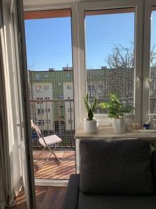 a living room with a view of a balcony at Kat &Suzie in Suwałki