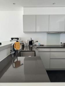 eine Küche mit weißen Schränken und einem Waschbecken in der Unterkunft Appartamento fronte lago in Muralto