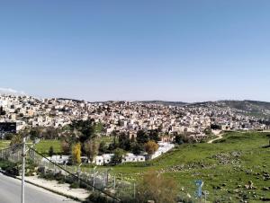 a view of a city with houses on a hill at Red rose apartment in Jerash