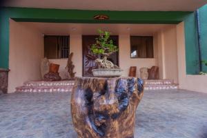 a plant in a pot sitting on top of a wooden stump at Bonsai Boutique Homes in Ibadan
