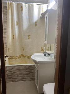 a bathroom with a sink and a shower with a shower curtain at Apartament ultracentral Botis in Sighetu Marmaţiei