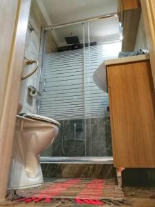 y baño con aseo y ducha acristalada. en Nikiti Spathies Resort - Double Bedroom Sofita, en Kalogria