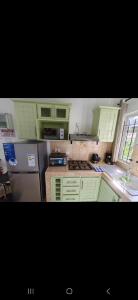een keuken met groene kasten en een roestvrijstalen koelkast bij Tam Studio in La Gaulette