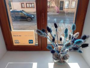 un vase avec des fleurs bleues assis devant une fenêtre dans l'établissement "Chez la Joe", à Thélonne