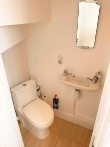 a small bathroom with a toilet and a sink at Nice and Cosy Studio Flat in Carshalton