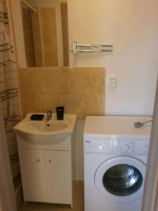 ein Badezimmer mit einer Waschmaschine und einem Waschbecken in der Unterkunft Apartmány Drážovce in Nitra