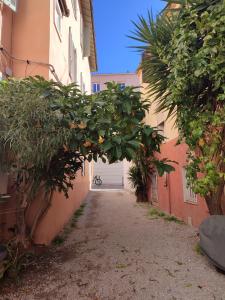an alley with a bunch of orange trees and a garage at SUITE CHARABOIS in Saint-Raphaël