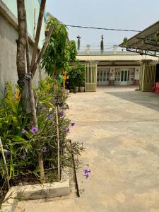 a courtyard with purple flowers and a building at BM guest house in Phnom Penh
