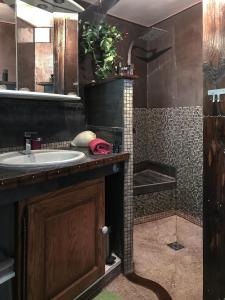 uma casa de banho com um lavatório e um chuveiro em Le Cabanon de Monte-Carlo avec Jardin Privé em Monte Carlo